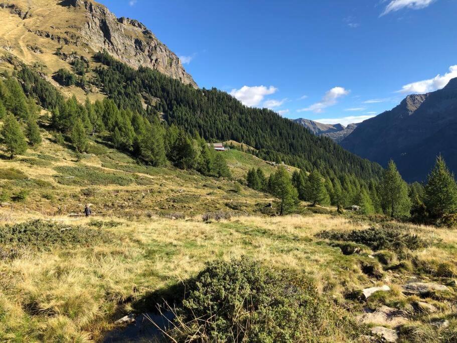 Wohnung Mit Bergblick Im Haus Sonne Reith bei Seefeld Exteriör bild